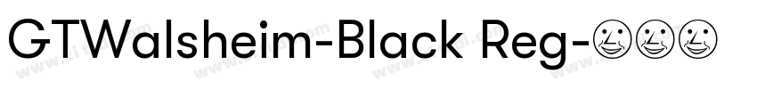 GTWalsheim-Black Reg字体转换